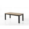 MOUNT - Table avec allonge - 4 pieds massifs 160 cm / 210 cm x 100 cm 